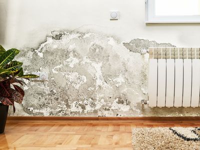 Wasserschaden Wand